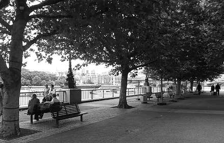 A bench along the river, black and white